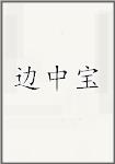 边中宝