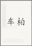 车柏头像