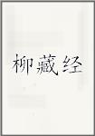 柳藏经头像