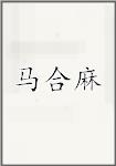 马合麻头像