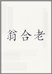 翁合老头像